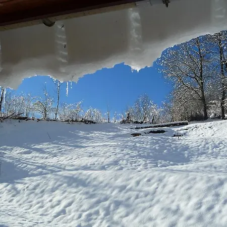 La Chouette A L'heure Du Pinson 3*