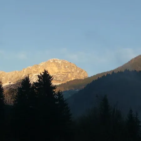 La Chouette A L'heure Du Pinson 3*