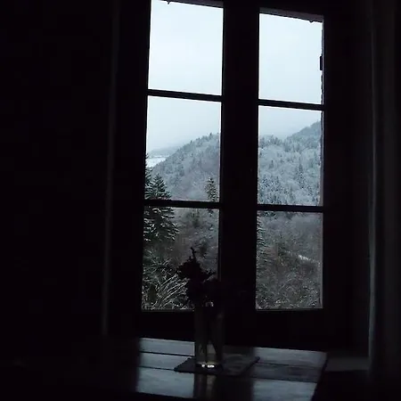 La Chouette A L'heure Du Pinson