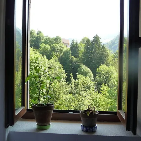 Bed & Breakfast La Chouette A L'heure Du Pinson 3*