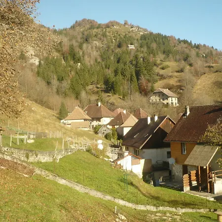 La Chouette A L'heure Du Pinson