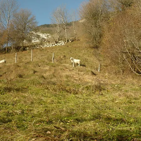 Bed and Breakfast La Chouette A L'heure Du Pinson 3*