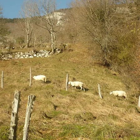 Bed & Breakfast La Chouette A L'heure Du Pinson