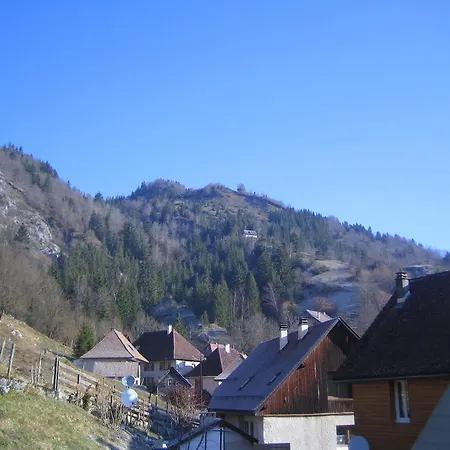 La Chouette à L'heure Du Pinson