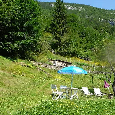 La Chouette à L'heure Du Pinson
