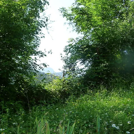La Chouette A L'heure Du Pinson