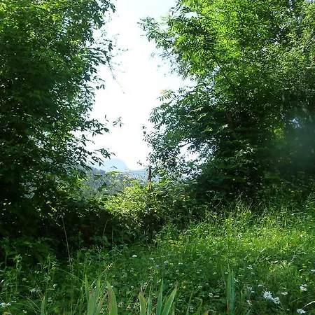 La Chouette à L'heure Du Pinson
