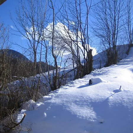 Bed and Breakfast La Chouette A L'heure Du Pinson